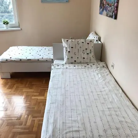 Star Ray * Варна